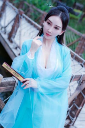 《完美的妻子》电视剧