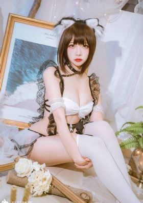 大猫儿追爱记 电视剧免费观看