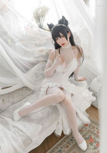 义者无敌全集免费观看完整版